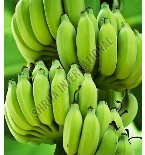 Fresh Green Banana