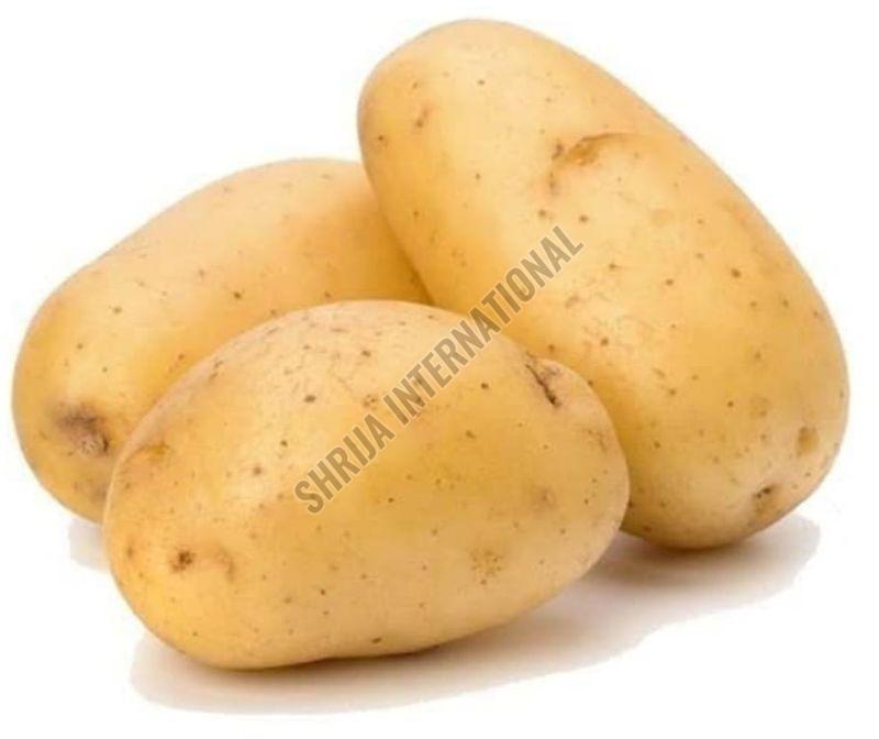 Fresh Potato