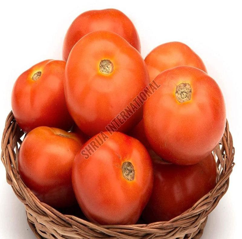 Fresh Tomato