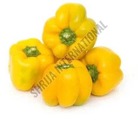 Fresh Yellow Capsicum