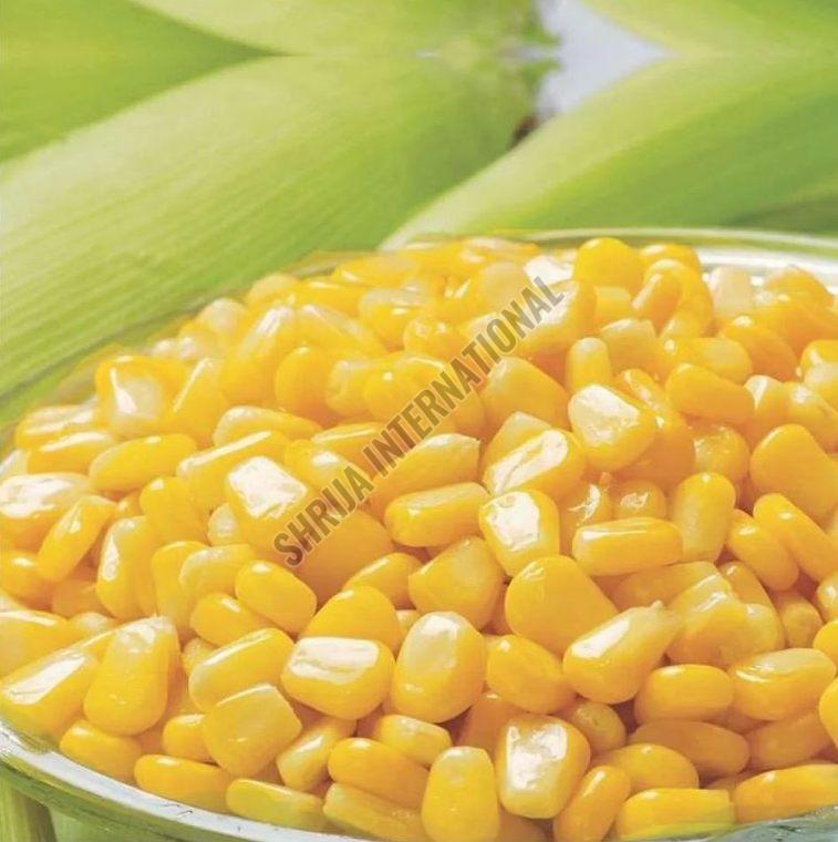 Frozen Sweet Corn