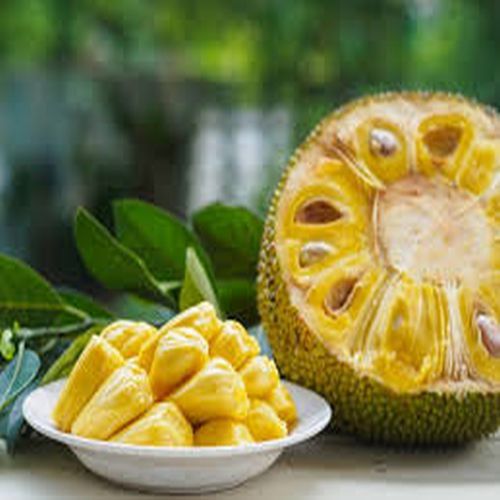 Jackfruit Pulp