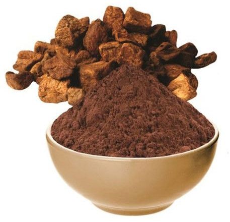 Spray Dried Chicory Powder