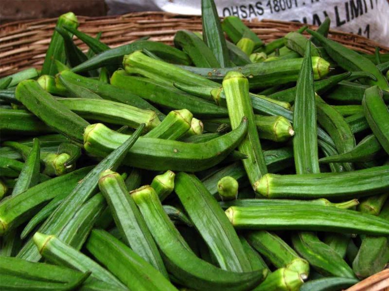 Fresh Green Okra