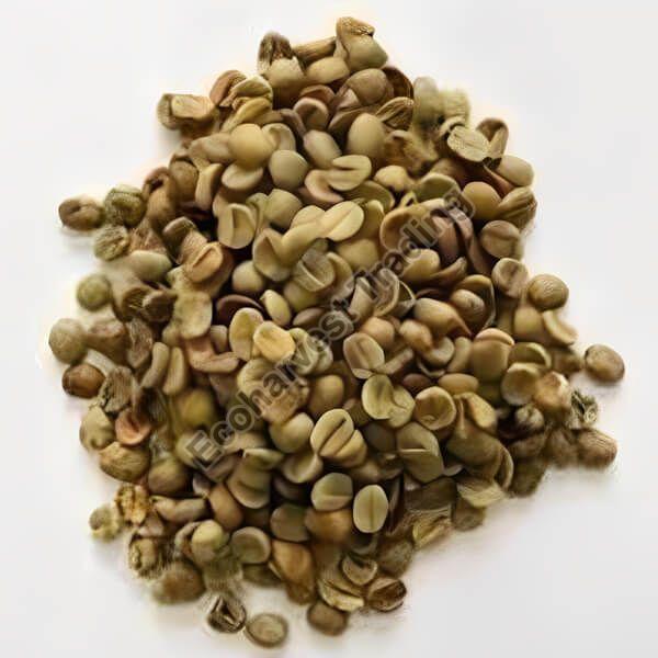 Robusta Cherry A Unwashed Green Coffee Beans