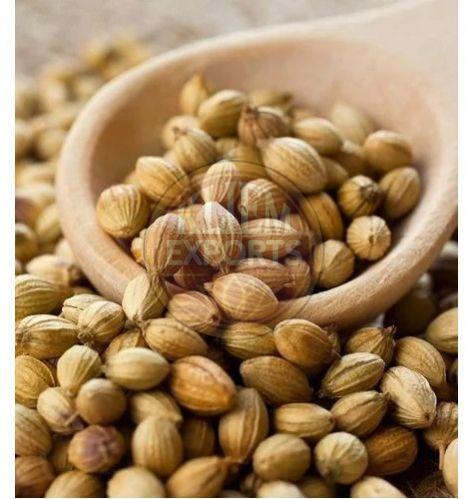 Coriander Seeds