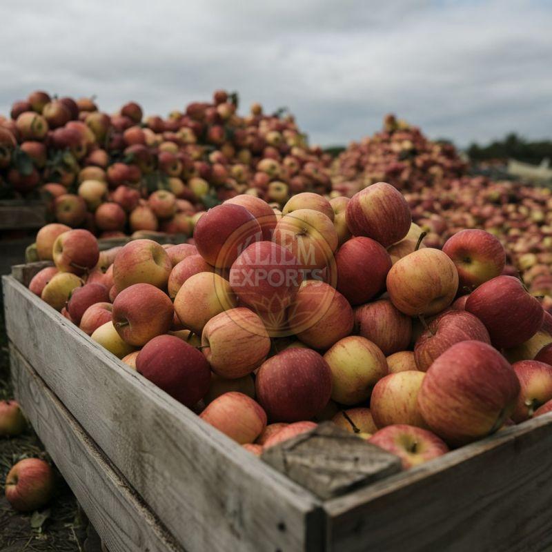 Fresh Apple