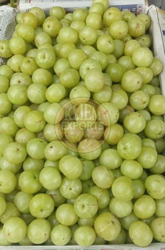 Fresh Gooseberry
