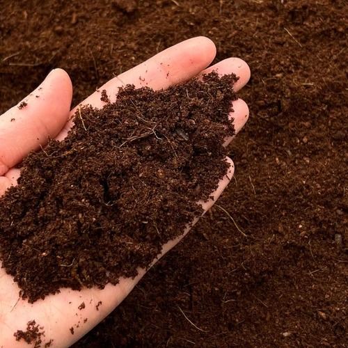 Export Grade Low EC Coco Peat Powder