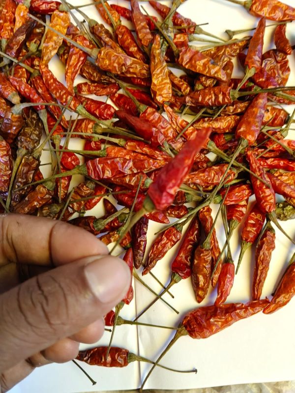 Dried Birds Eye Chili