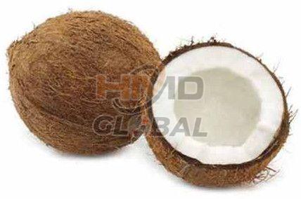 A Grade Fresh Coconut