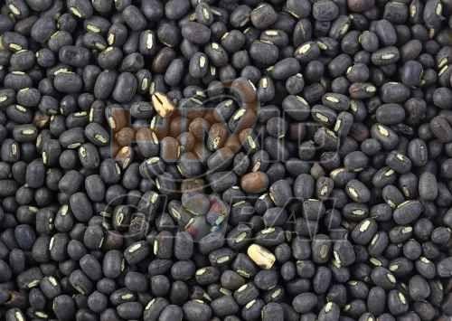 Black Whole Urad Dal