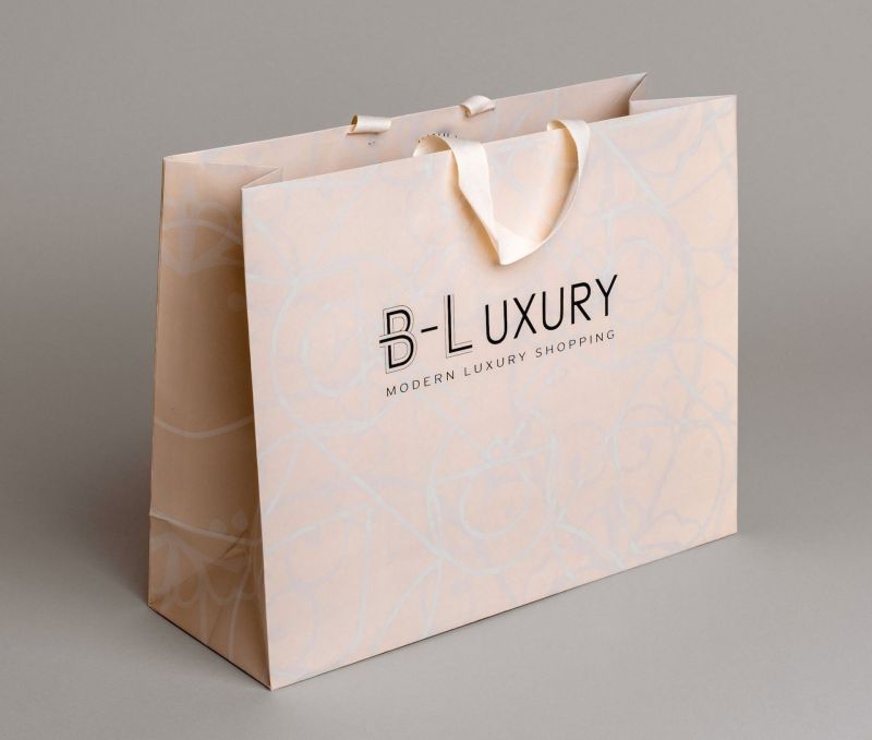 Luxury Brand Paper Carry Bag