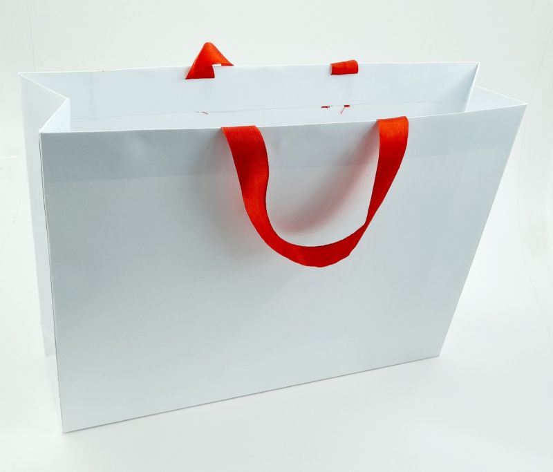 Paper Bag with Ribbon Handle