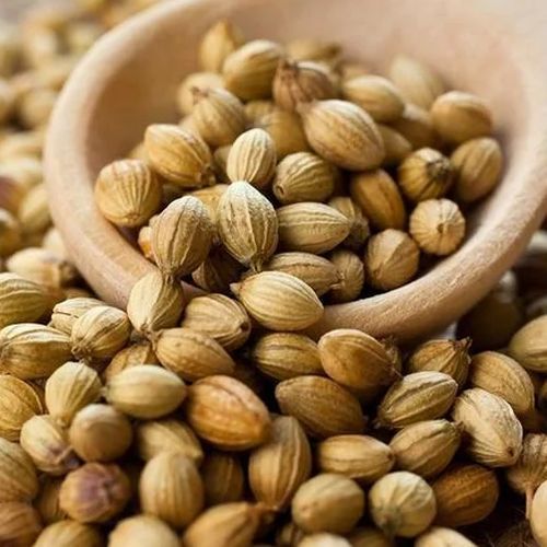 Coriander Seeds
