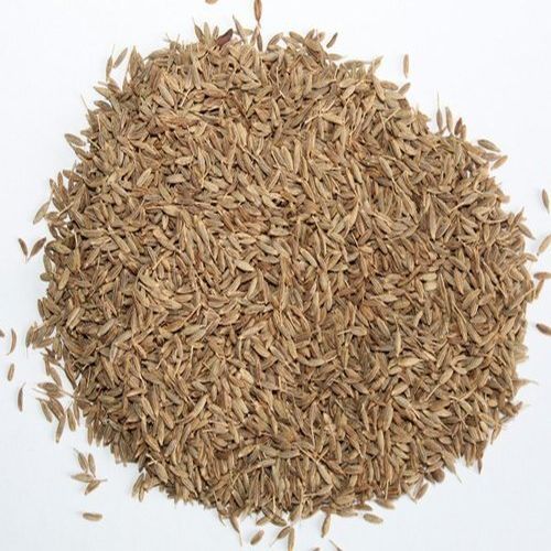European Quality Cumin Seeds