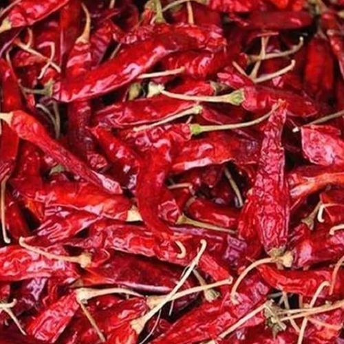 Guntur 341 Dried Red Chilli