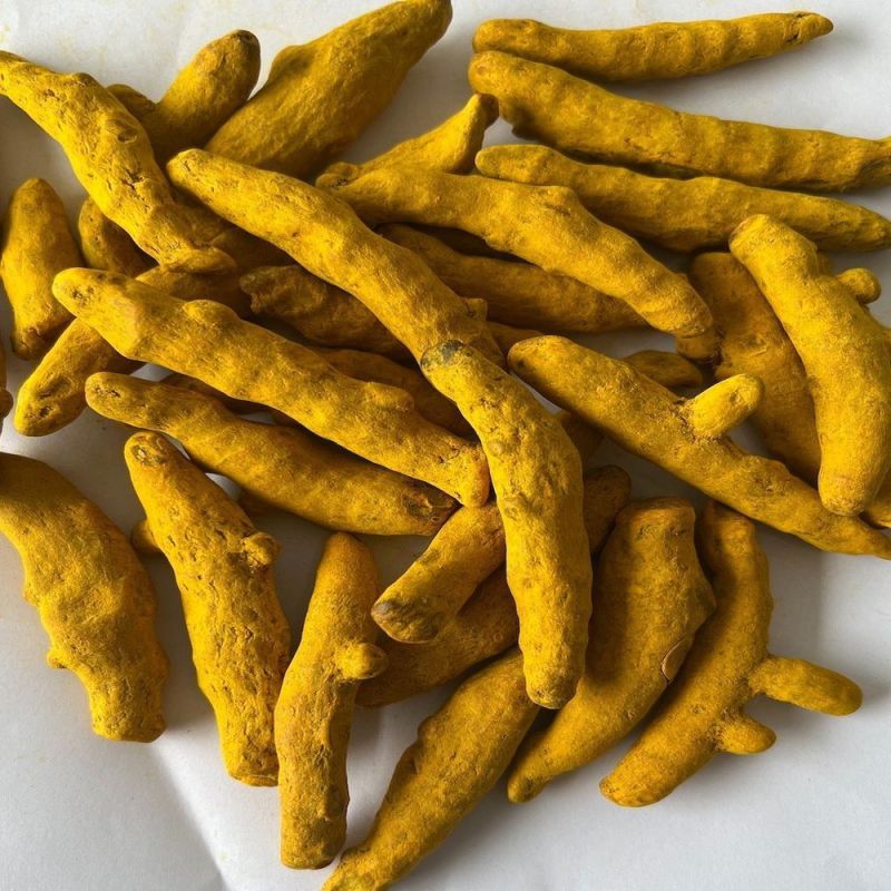 Lakadong Turmeric Finger