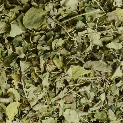 Moringa Leaves