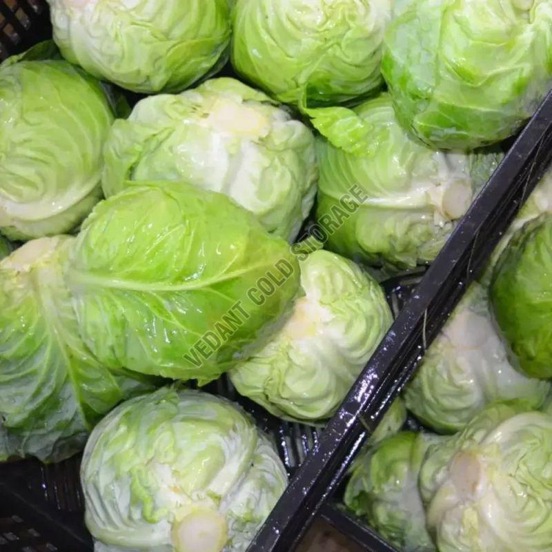 Frozen Cabbage