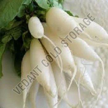 Frozen Radish