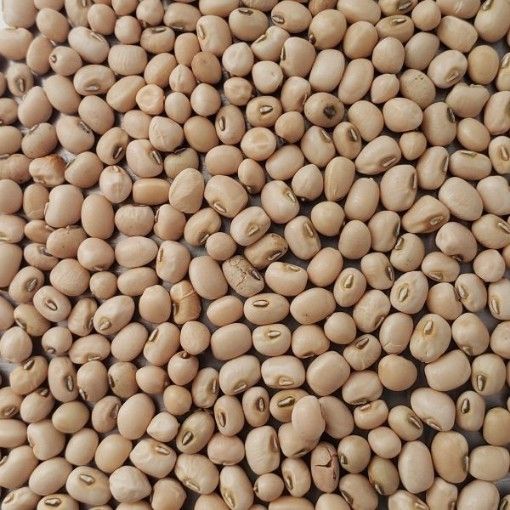 Cow Peas