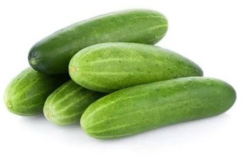Fresh Cucumber