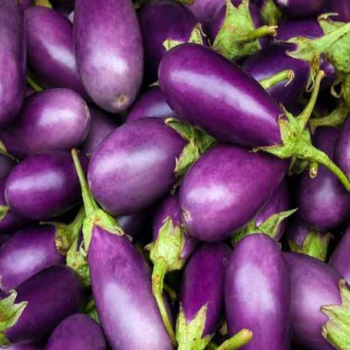 Fresh Eggplant