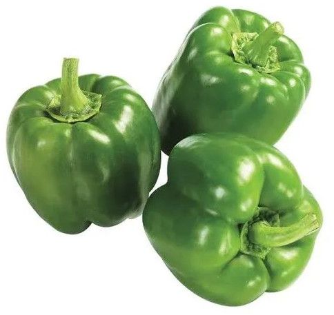 Fresh Green Capsicum