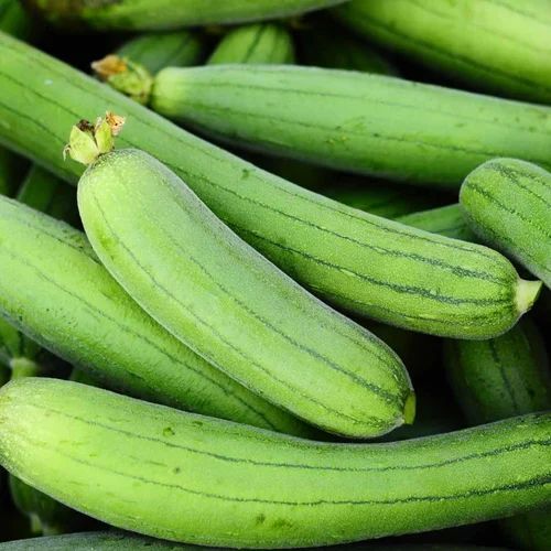 Fresh Sponge Gourd