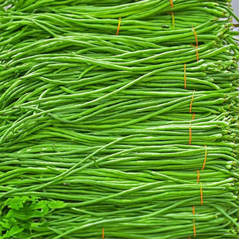 Fresh Yardlong Beans