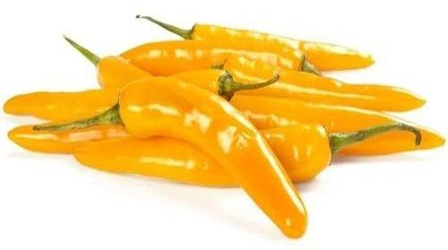 Fresh Yellow Chilli