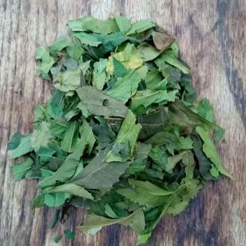 Dried Neem Leaves