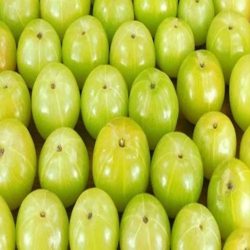 Fresh Green Amla