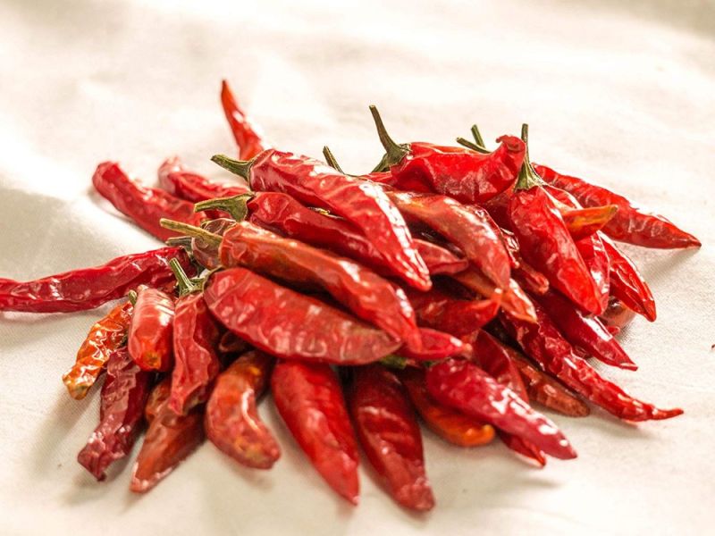 334 Sannam Dry Red Chilli