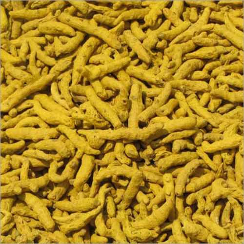 Alleppey Turmeric Finger