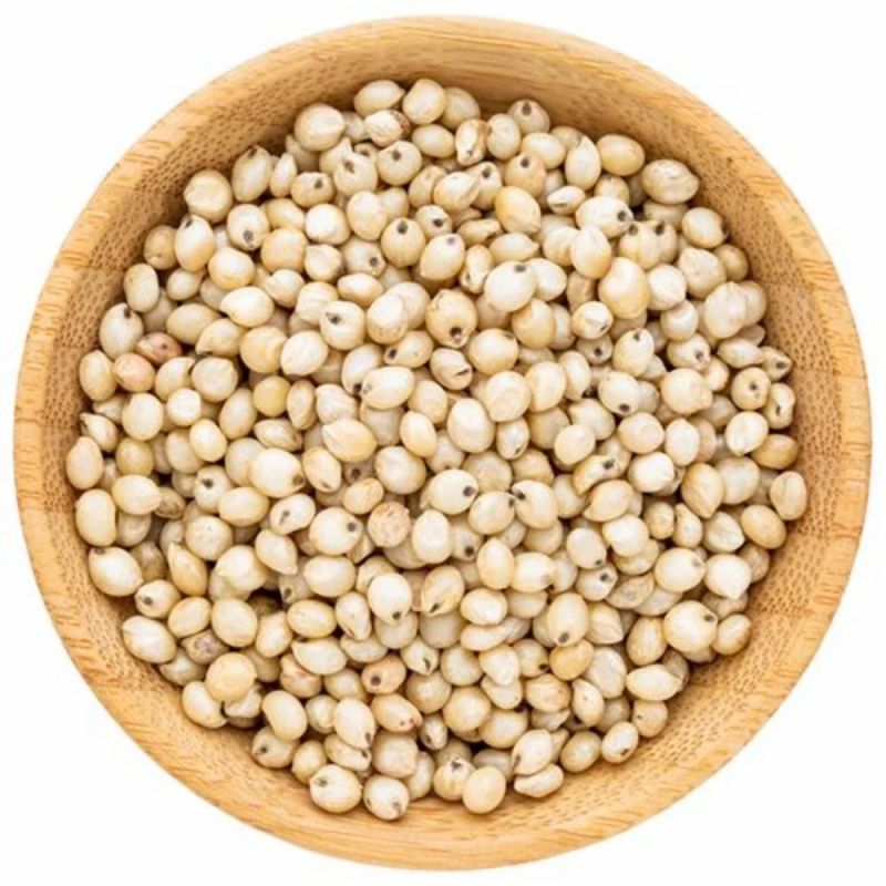 Indian Sorghum Seeds