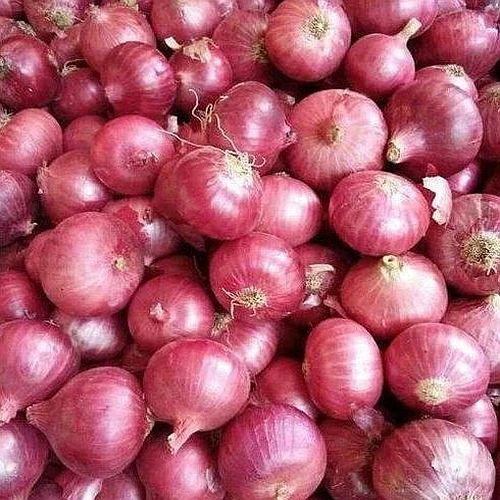 Farm Vegetables