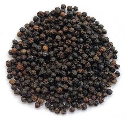 Malabar Black Pepper Seeds
