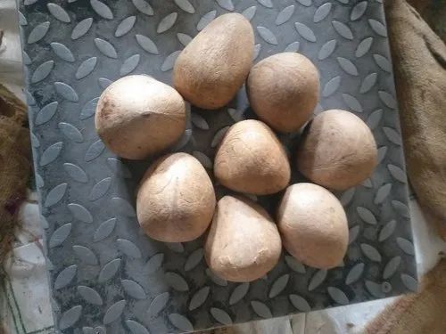 Coconut Copra, Color : White, Brown for Cooking