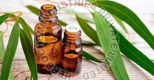 Cineole Oil