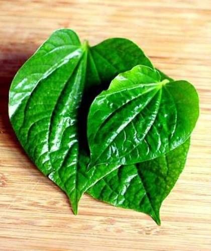 Calcutta Betel Leaf