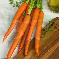 Fresh Natural Carrot