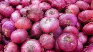 Fresh Natural Onion