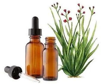 Palmarosa Essential Oil