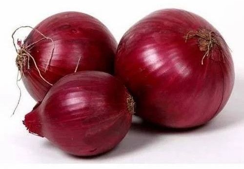 Fresh Red Onion, Packaging Type : Gunny Bag, Loose
