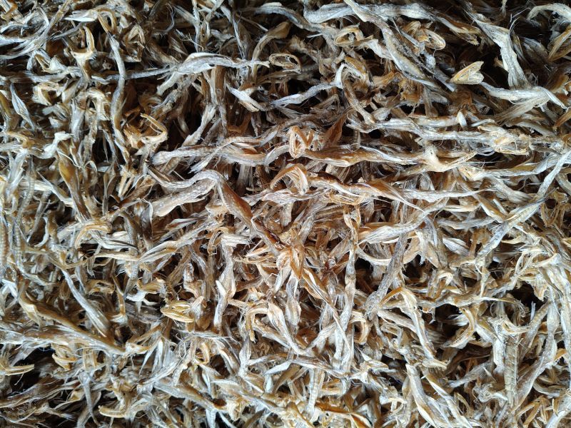 Dried Fish