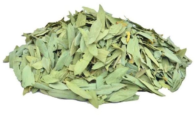 Dried Senna Leaves