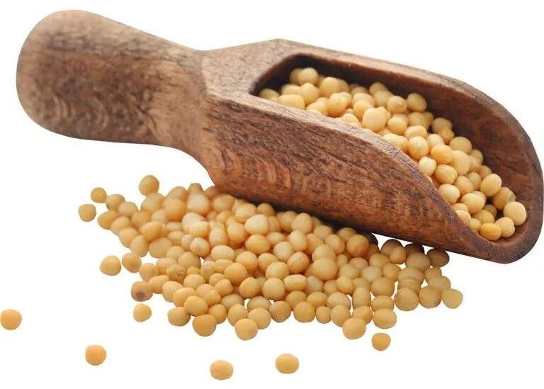 Natural Yellow Mustard Seeds