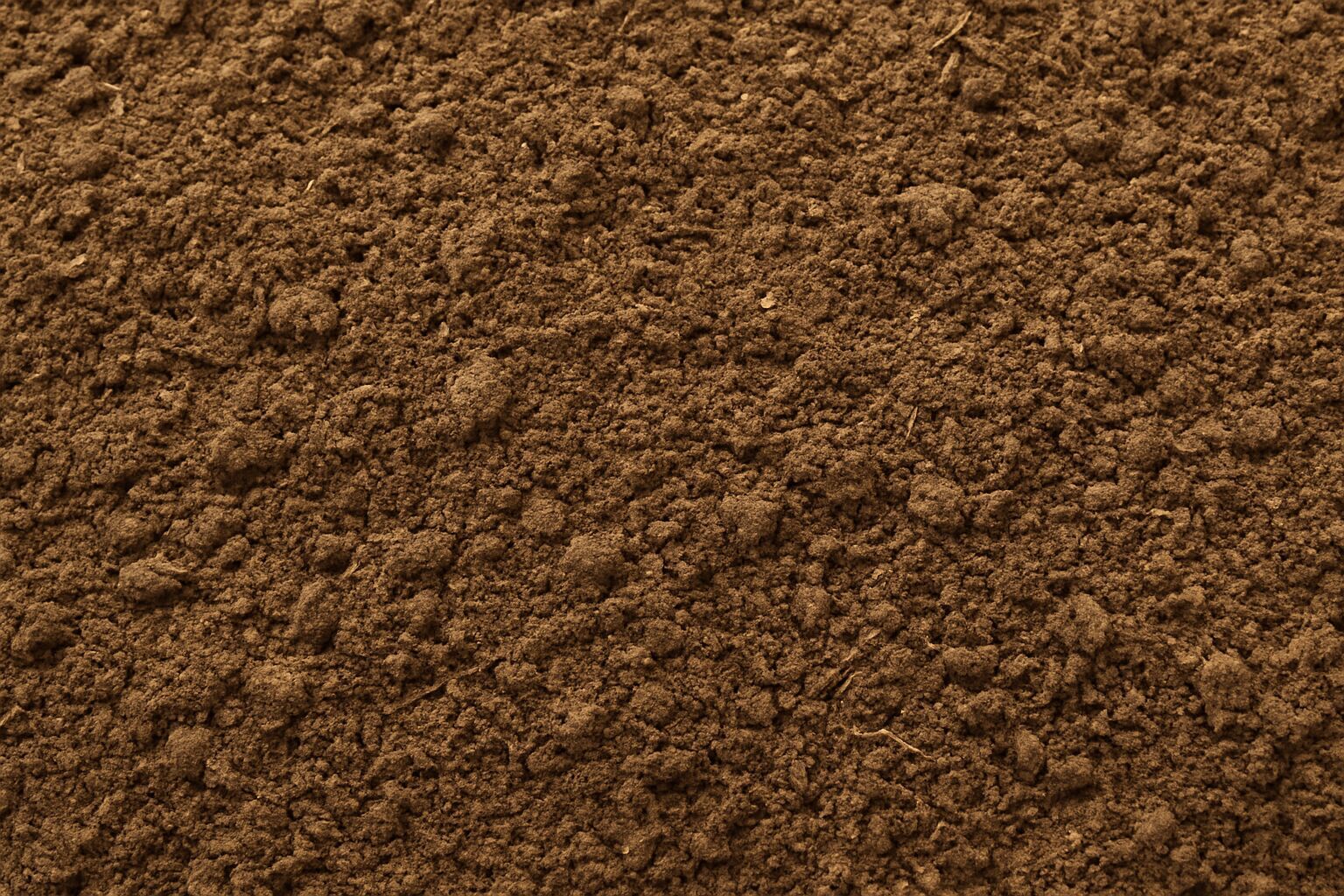 Cow Dung Powder